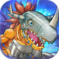 Pet Base-Send 648 per day (0.1% off)
